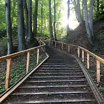 Homestay szállás Baltyckie Sopot